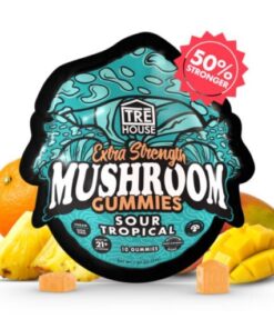 Sour Tropical Magic Mushroom Gummies – Orange Flavour
